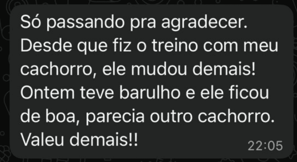 Design sem nome 9